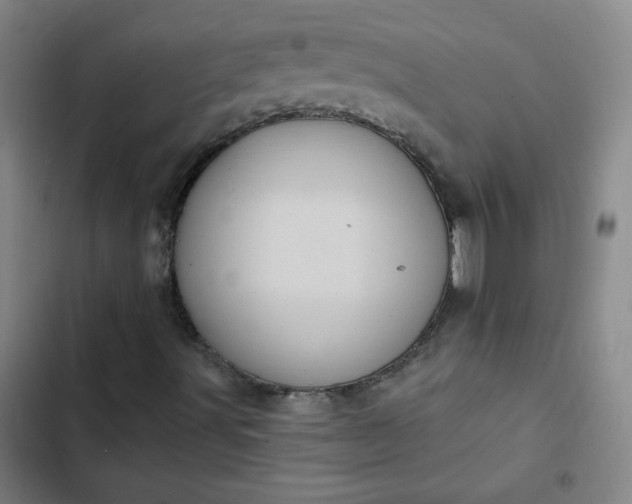 X0000102461491200808221606