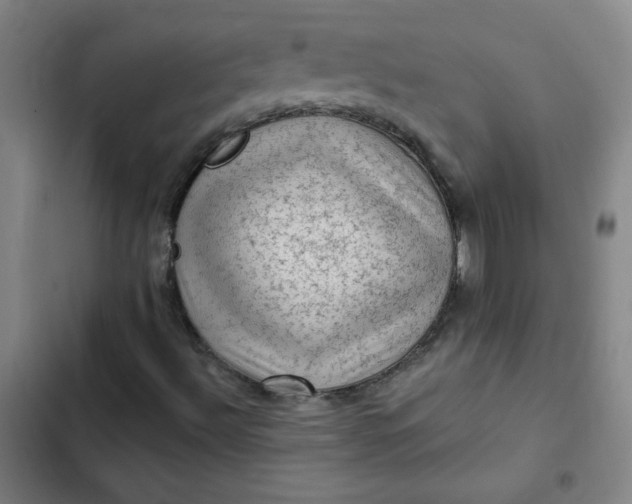 X0000102461492200808221606