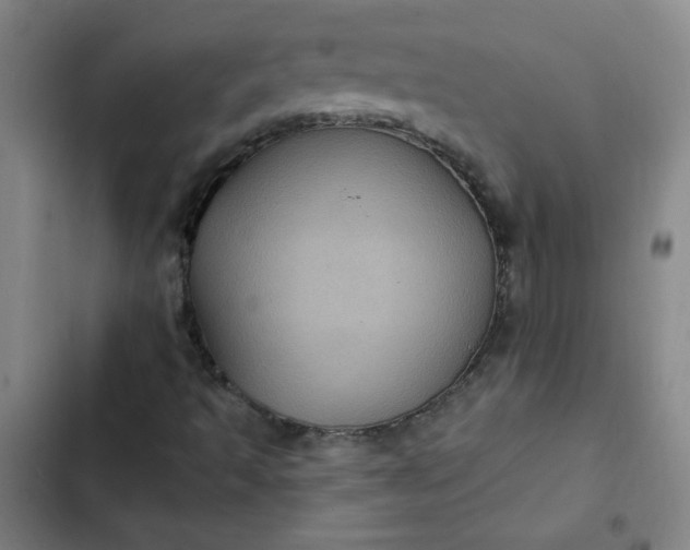 X0000102461493200808221606