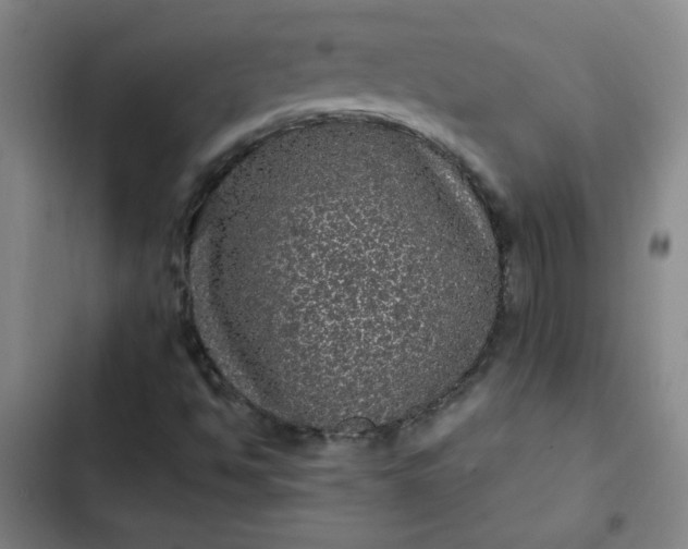 X0000102461494200808221606