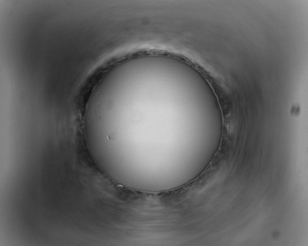 X0000102461495200808221606