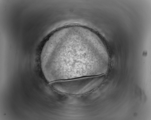 X0000102461496200808221606