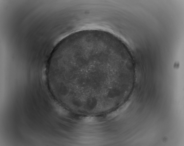 X0000102461497200808221606