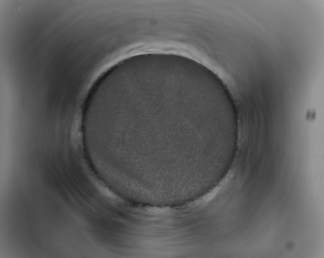 X0000102461498200808221606