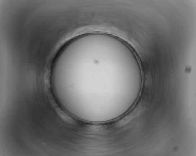 X0000102461499200808221606