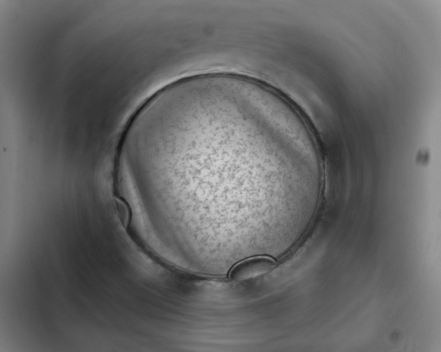 X0000102461500200808221606