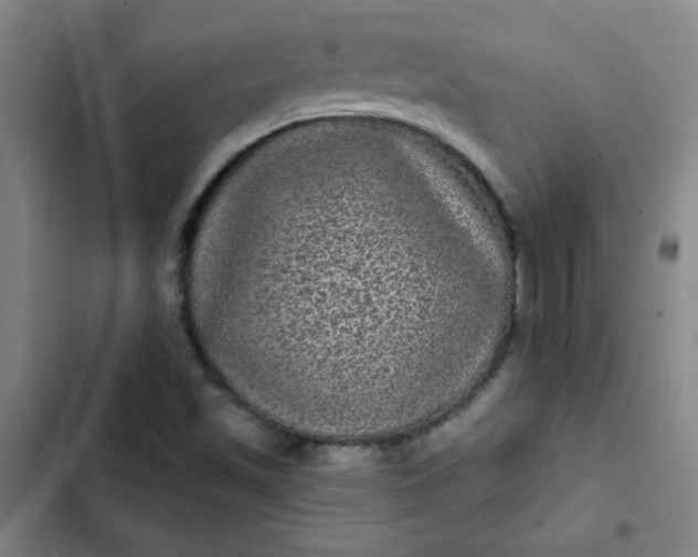 X0000102461501200808221607