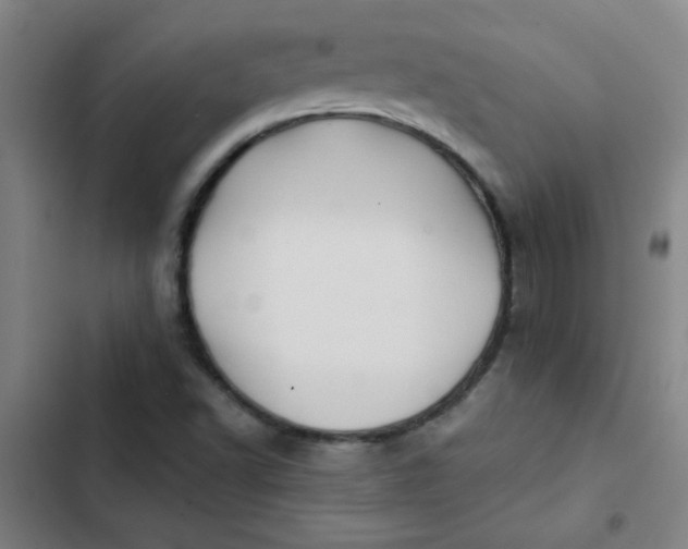 X0000102461502200808221607