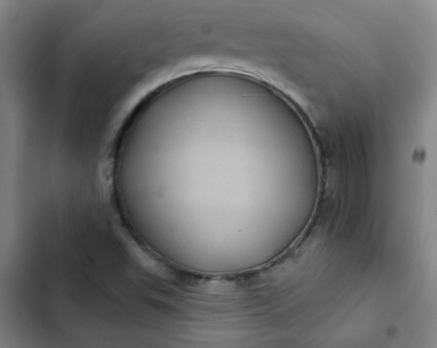 X0000102461503200808221607