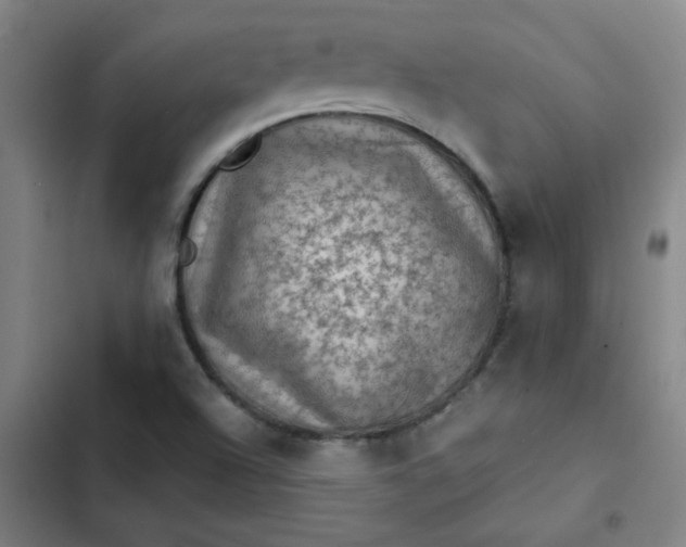 X0000102461504200808221607