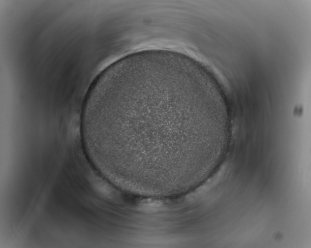 X0000102461505200808221607