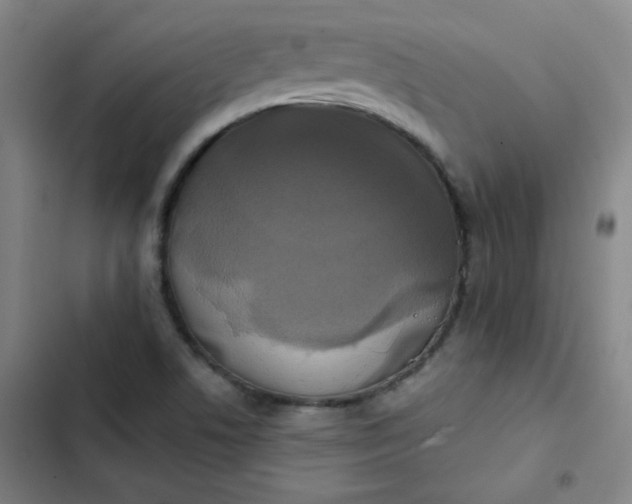 X0000102461506200808221607