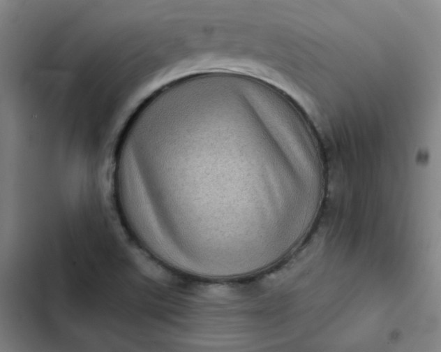 X0000102461507200808221607