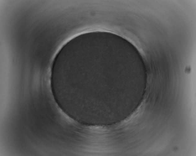 X0000102461508200808221607