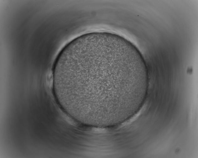 X0000102461509200808221607