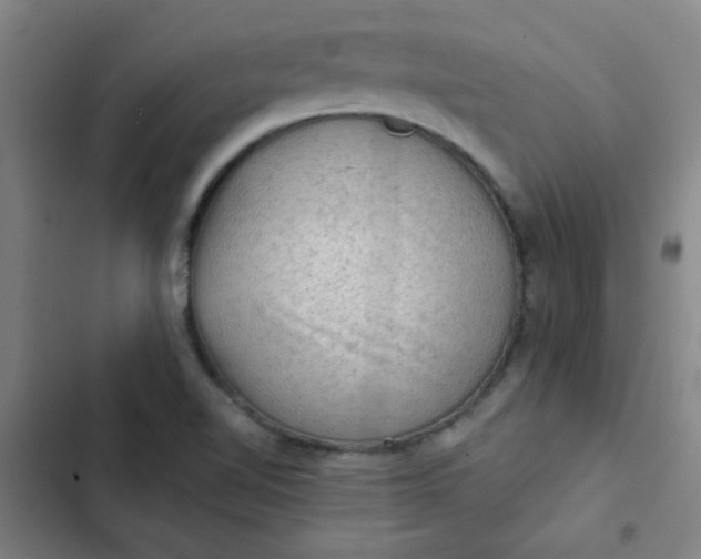 X0000102461510200808221607