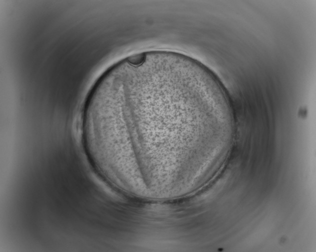 X0000102461511200808221607