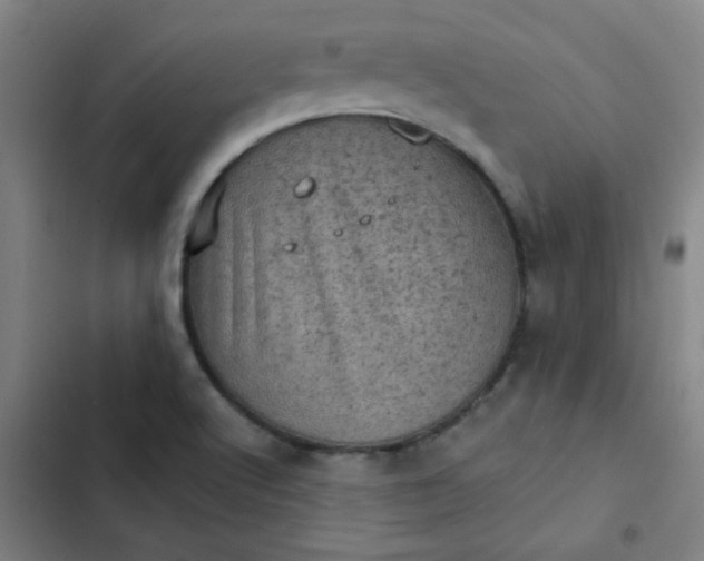 X0000102461512200808221607