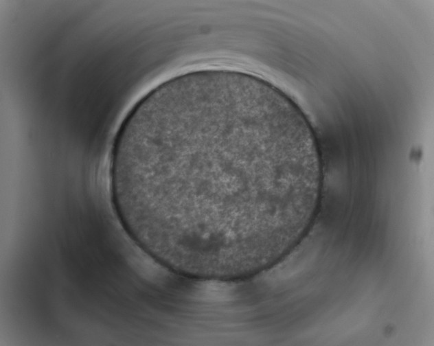 X0000102461514200808221607