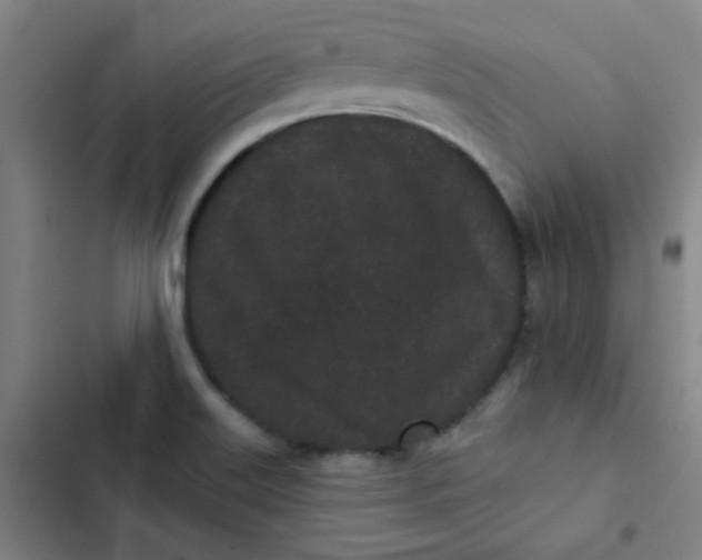 X0000102461515200808221607