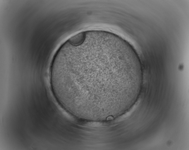 X0000102461517200808221607