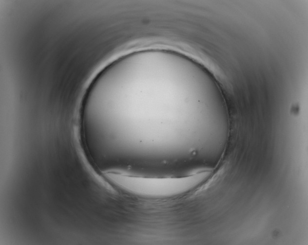 X0000102461518200808221607