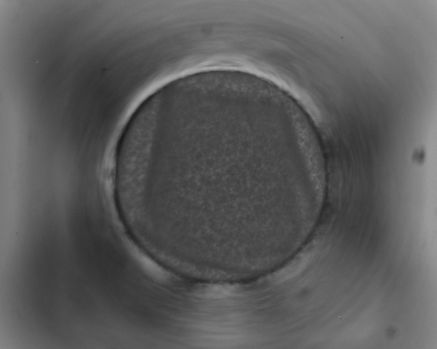 X0000102461519200808221607