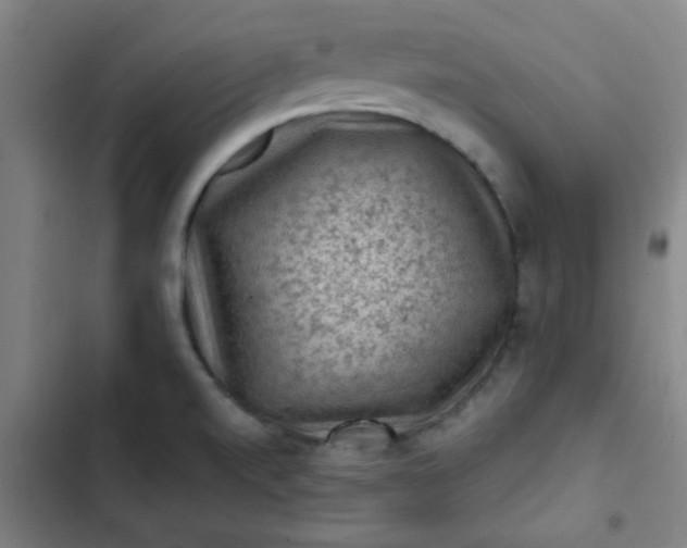 X0000102461520200808221607