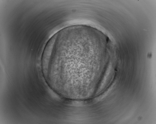 X0000102461521200808221607