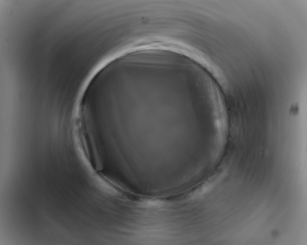 X0000102461522200808221607