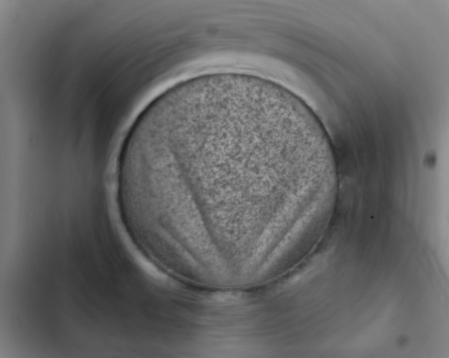 X0000102461523200808221607