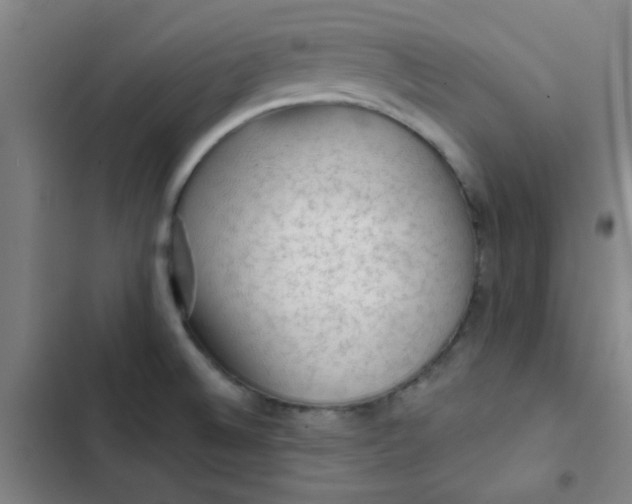 X0000102461524200808221607