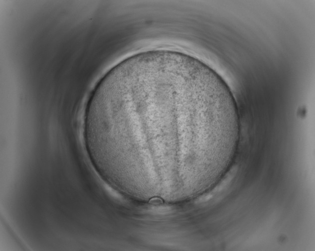 X0000102461525200808221607