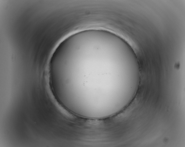 X0000102461526200808221607