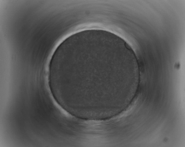 X0000102461527200808221607