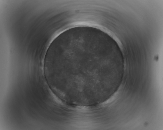 X0000102461529200808221607