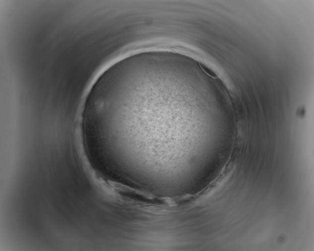 X0000102461530200808221607