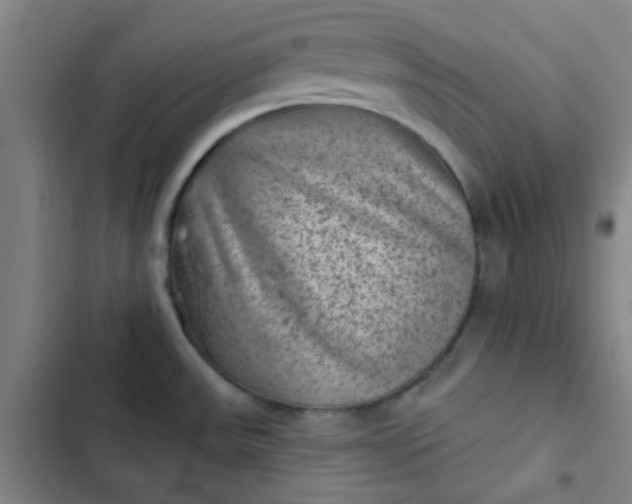 X0000102461531200808221607