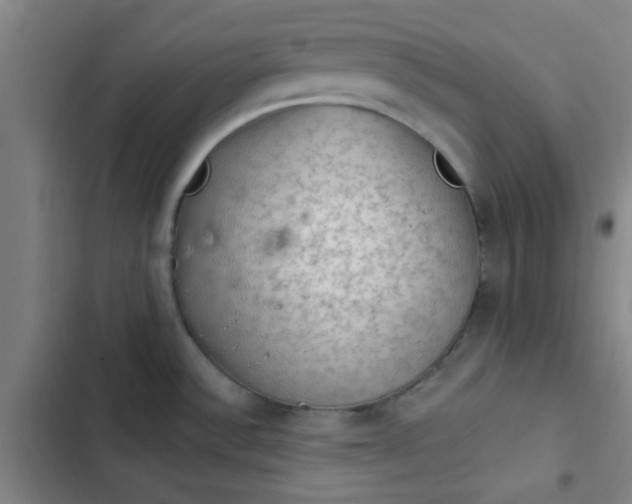 X0000102461532200808221607