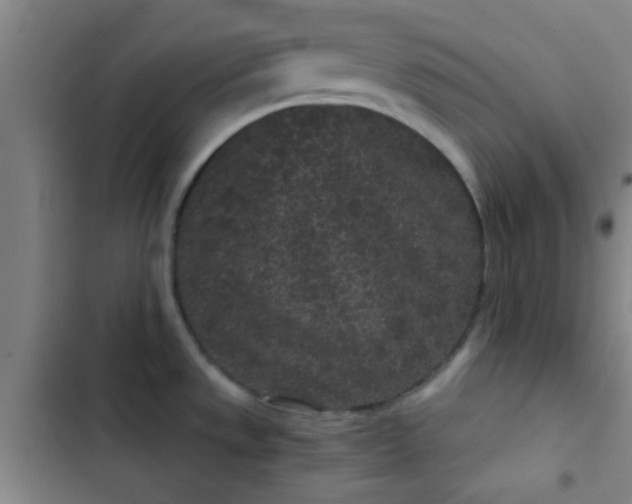 X0000102461533200808221607