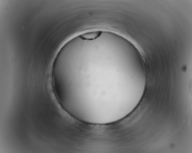 X0000102461534200808221607