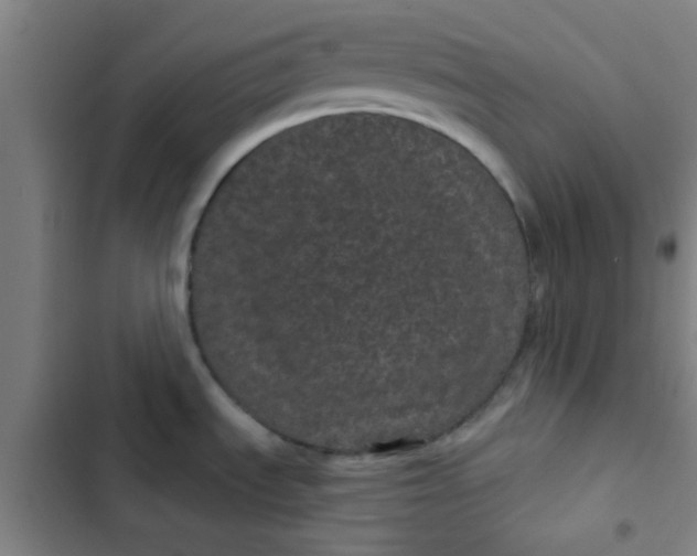 X0000102461535200808221607