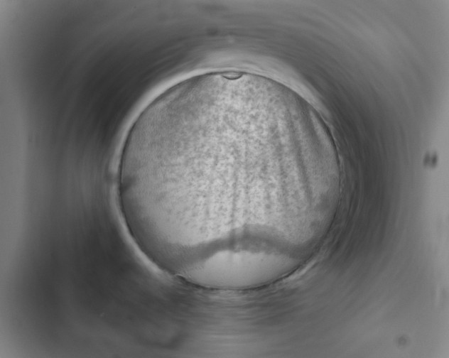 X0000102461536200808221607