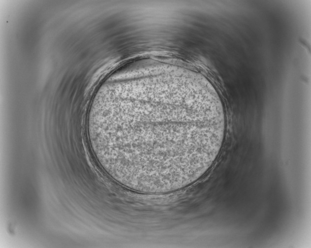 X0000102460001200808291552