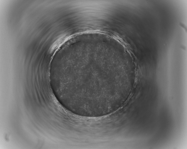 X0000102460002200808291552