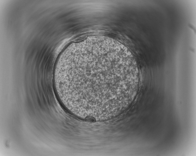 X0000102460003200808291552