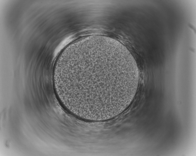 X0000102460004200808291552