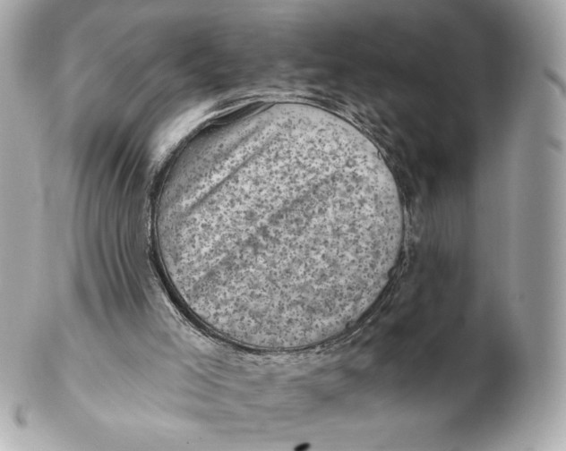 X0000102460005200808291552
