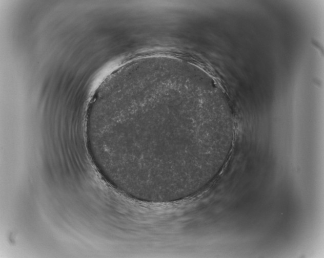 X0000102460006200808291552