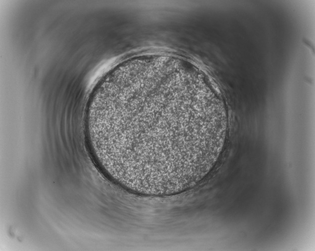 X0000102460007200808291552